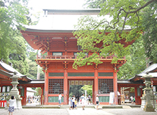 鹿島神宮桜門の写真