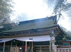 鹿島神宮社殿の写真
