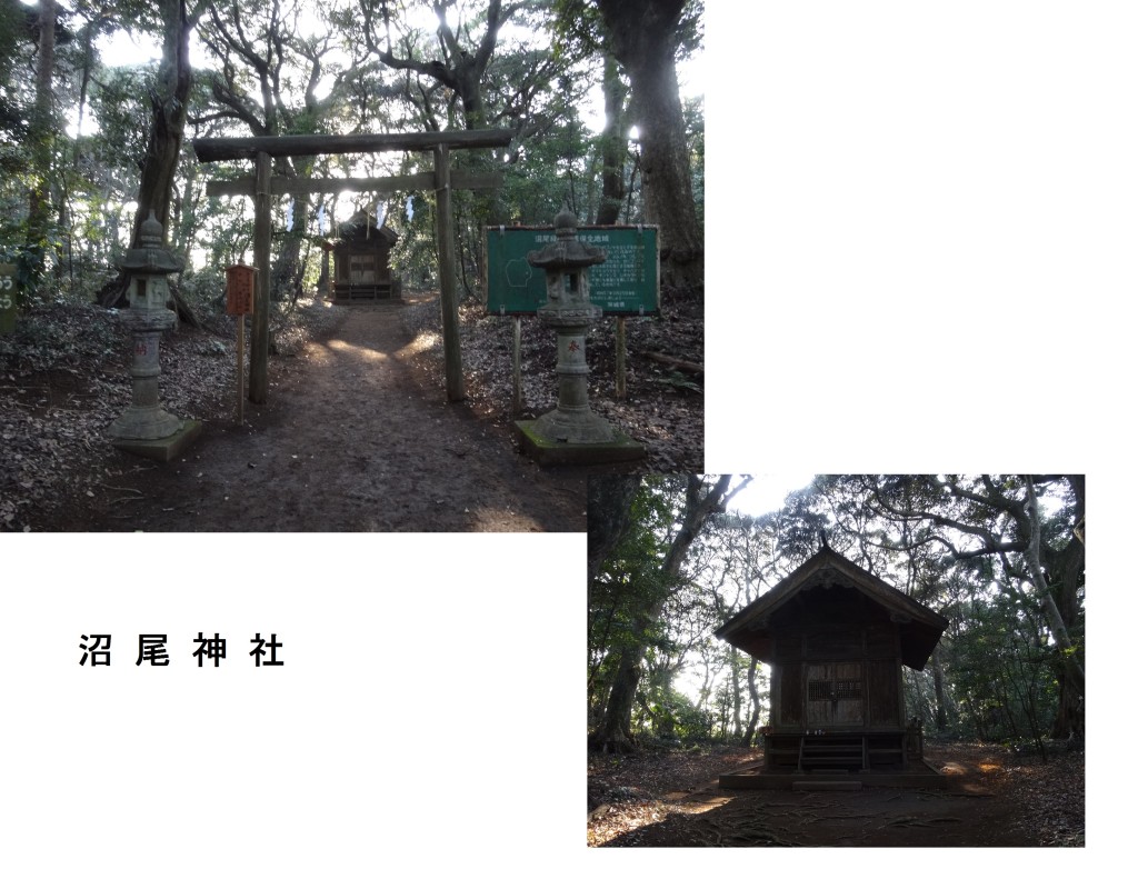 沼尾神社