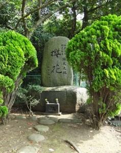 桜花　石碑