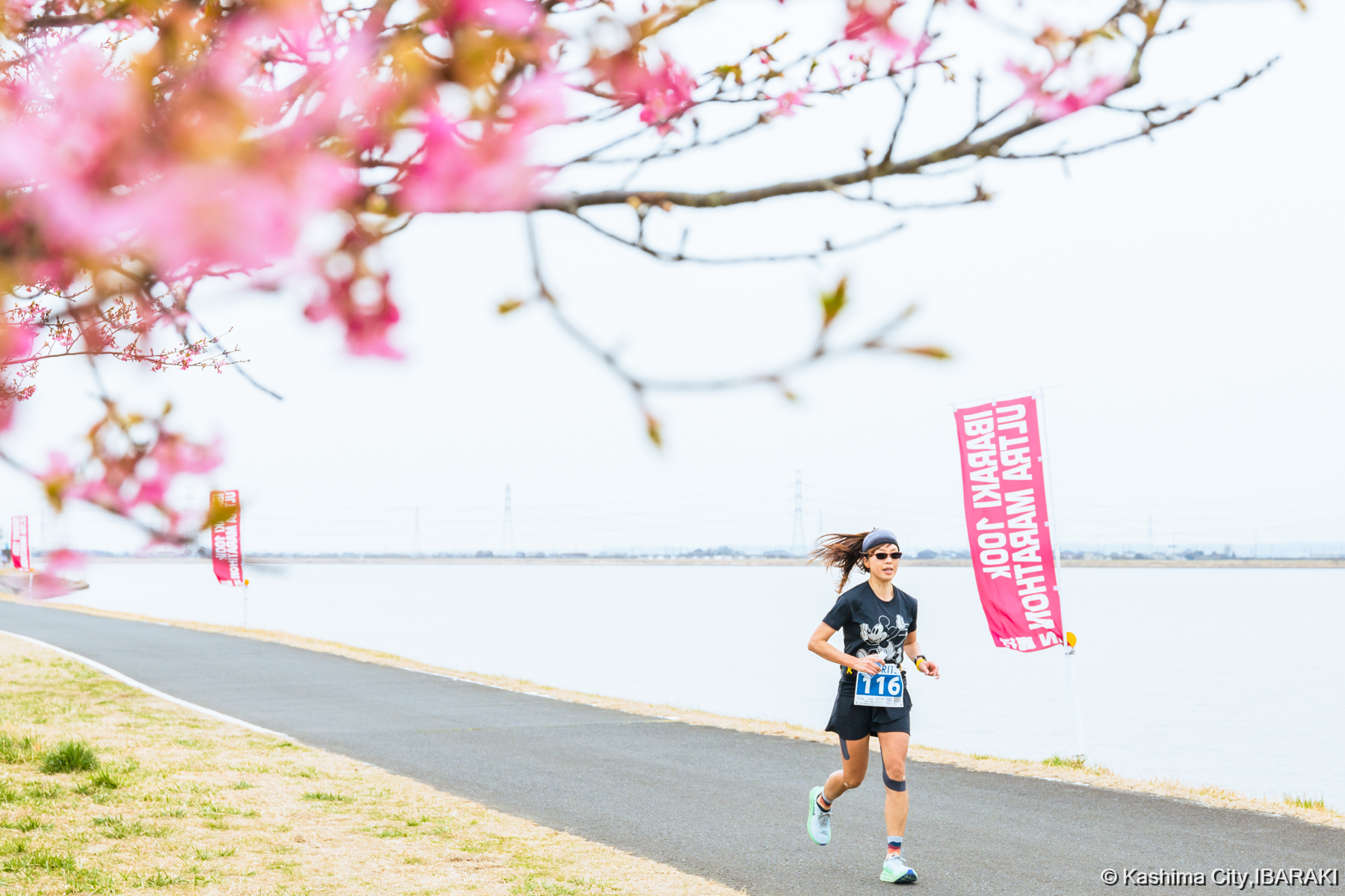 桜を横目に走るランナー