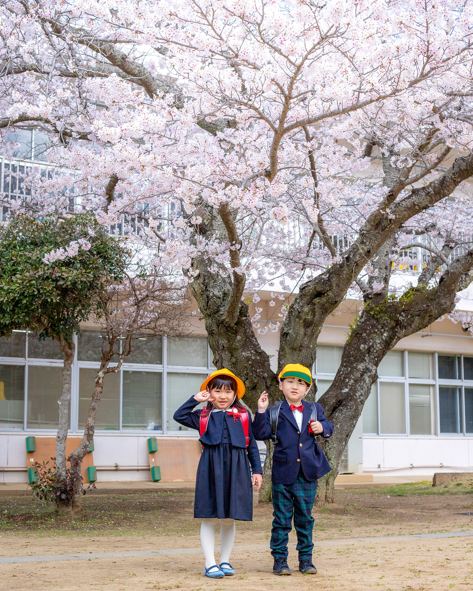 桜の木の下で記念撮影　子どもたち