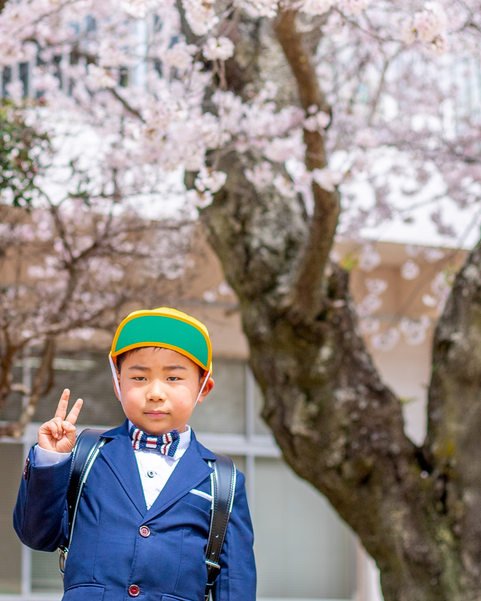 桜の木の下で記念撮影　男の子