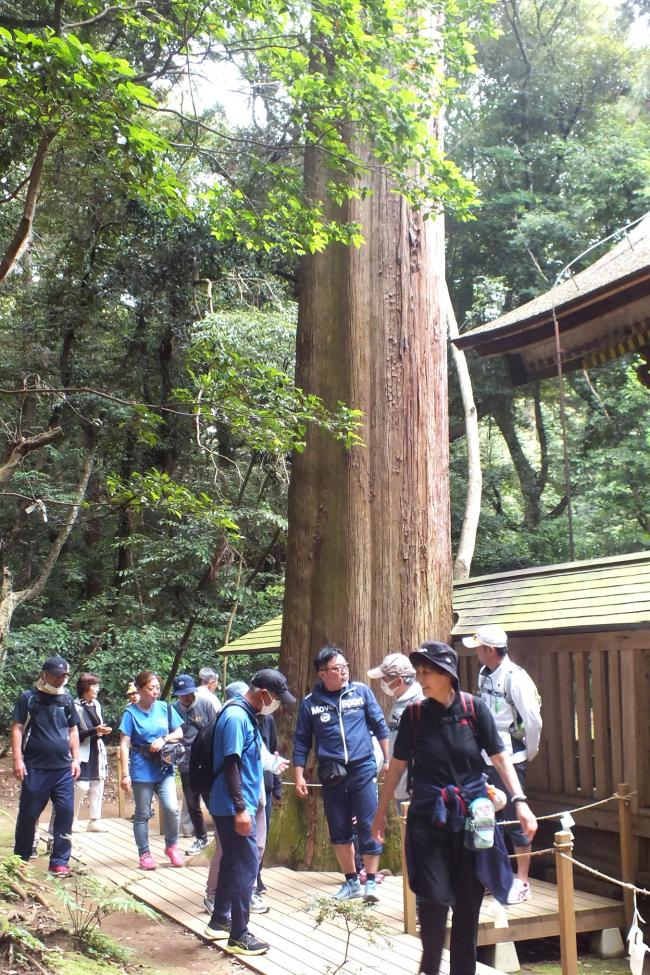 健康づくりキャンペーンウォーキグ