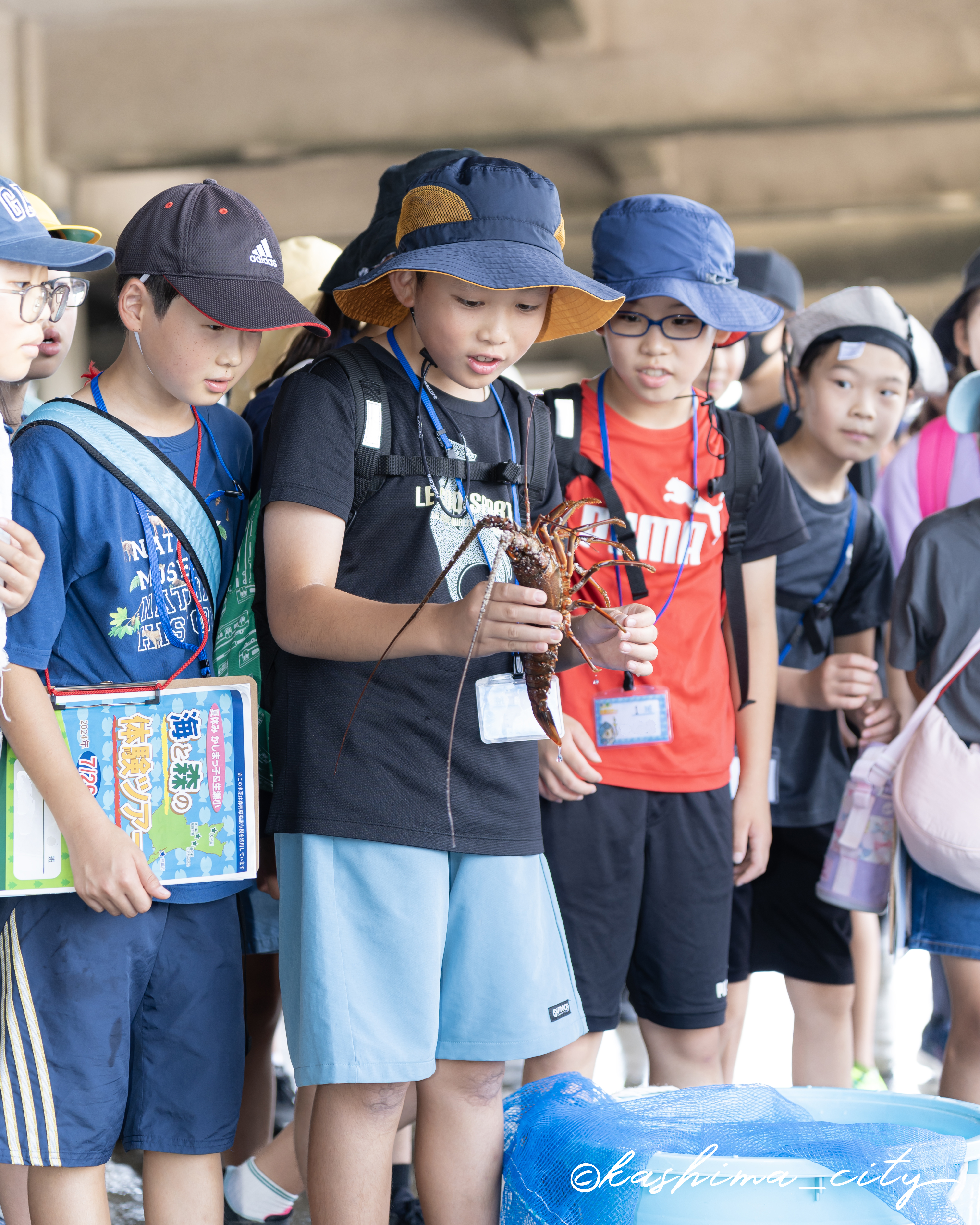 イセエビを持つ小学生