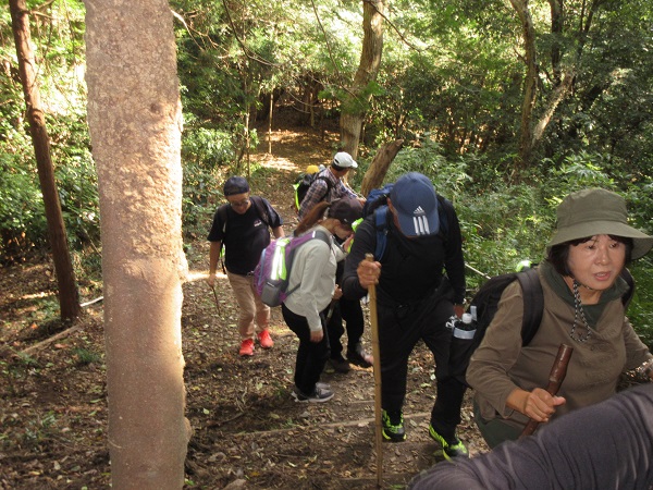 登山してます