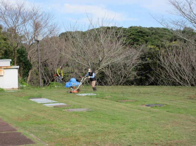 環境福祉草取り・花植え