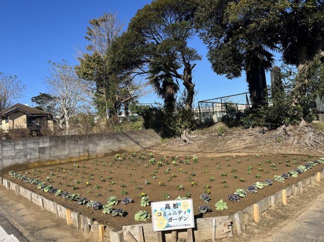 花植え