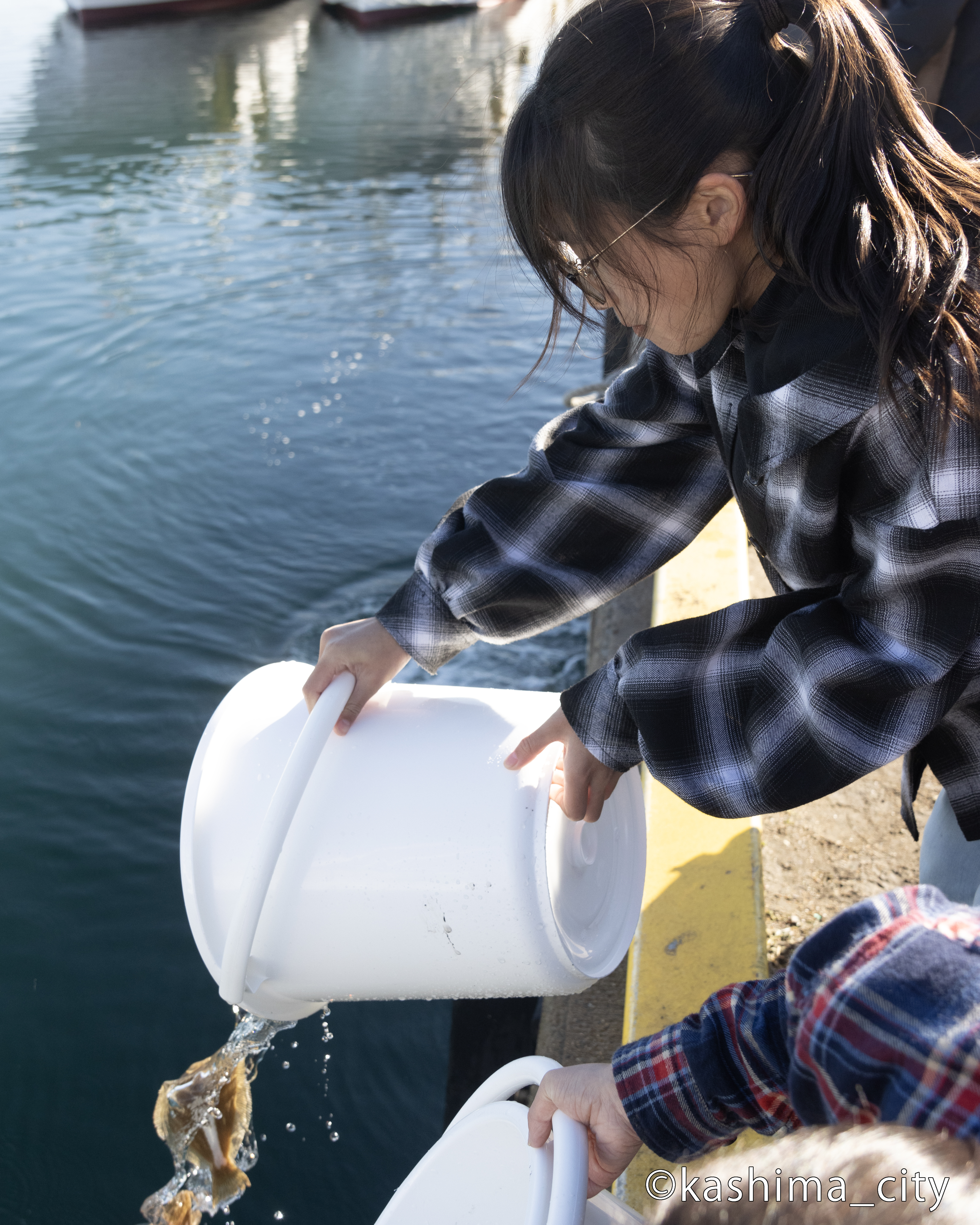 ヒラメの稚魚放流