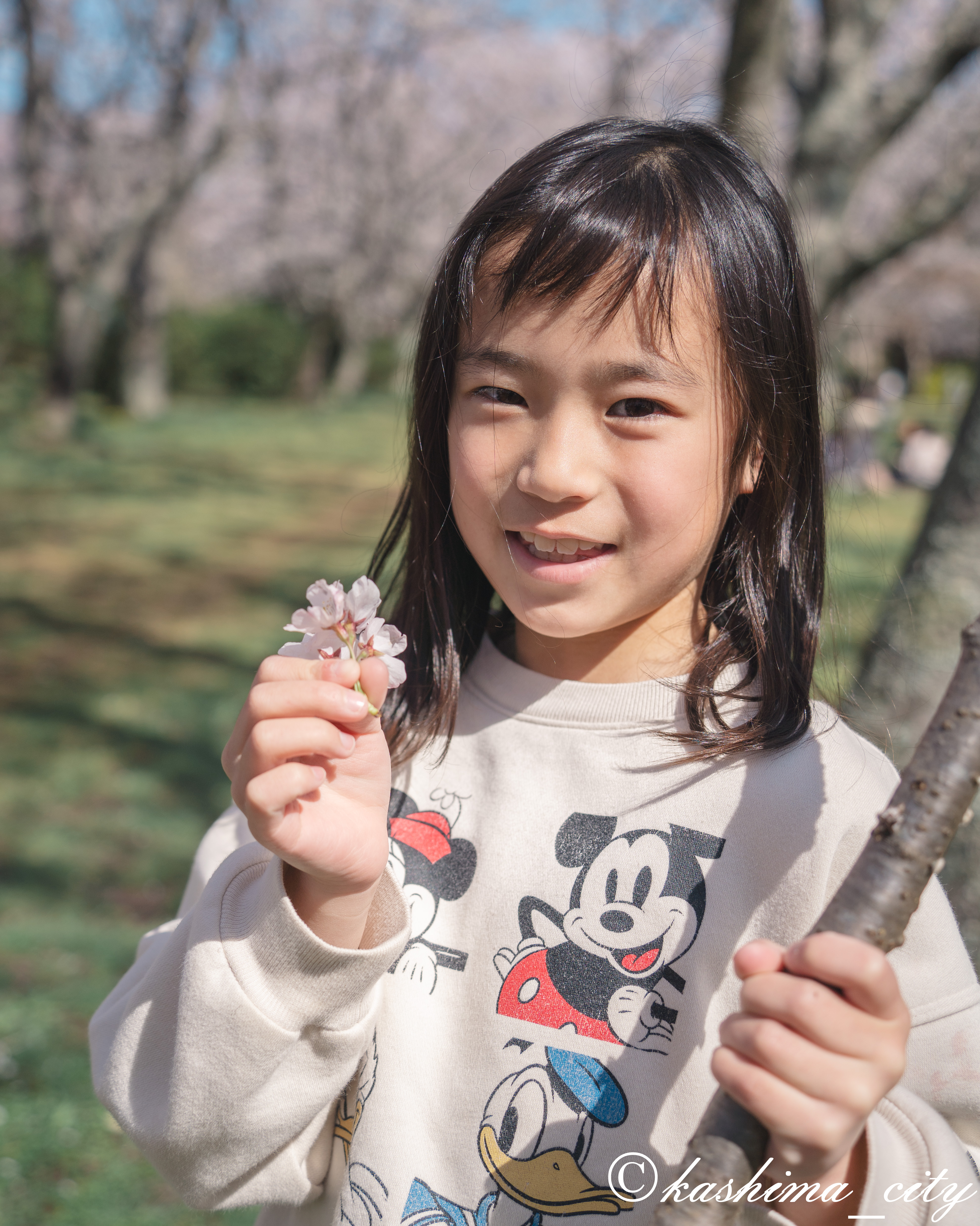 桜の花びらを持つ女の子