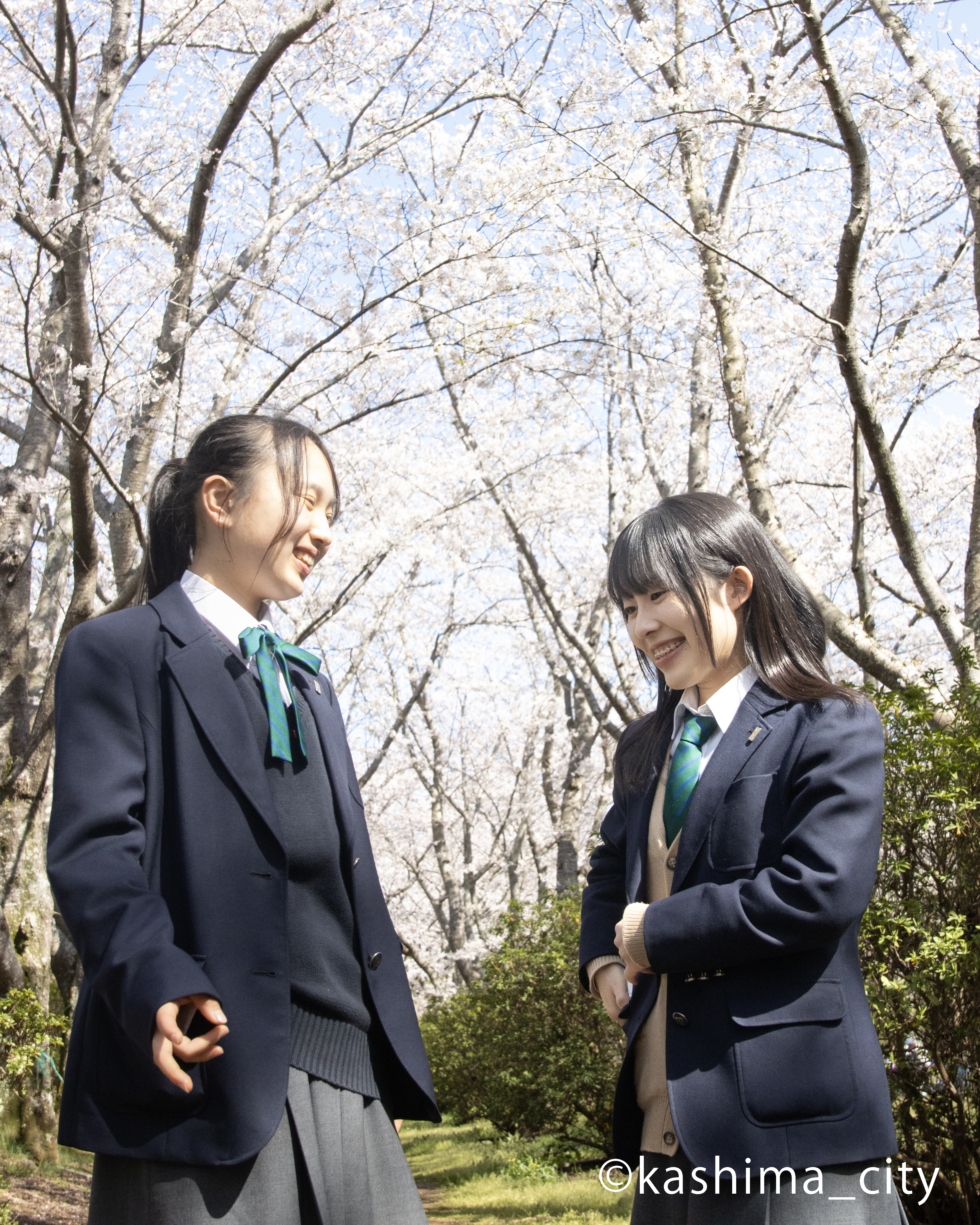 桜の前で向かい合う女の子２人