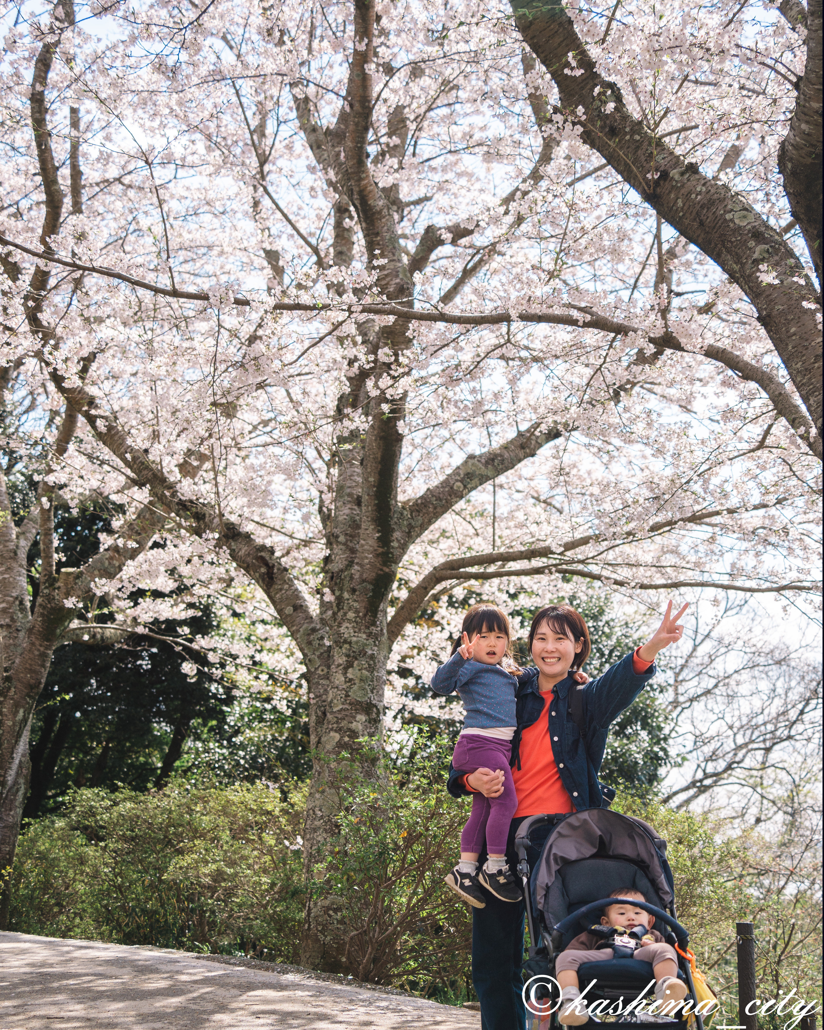 桜の下でピースする親子連れ