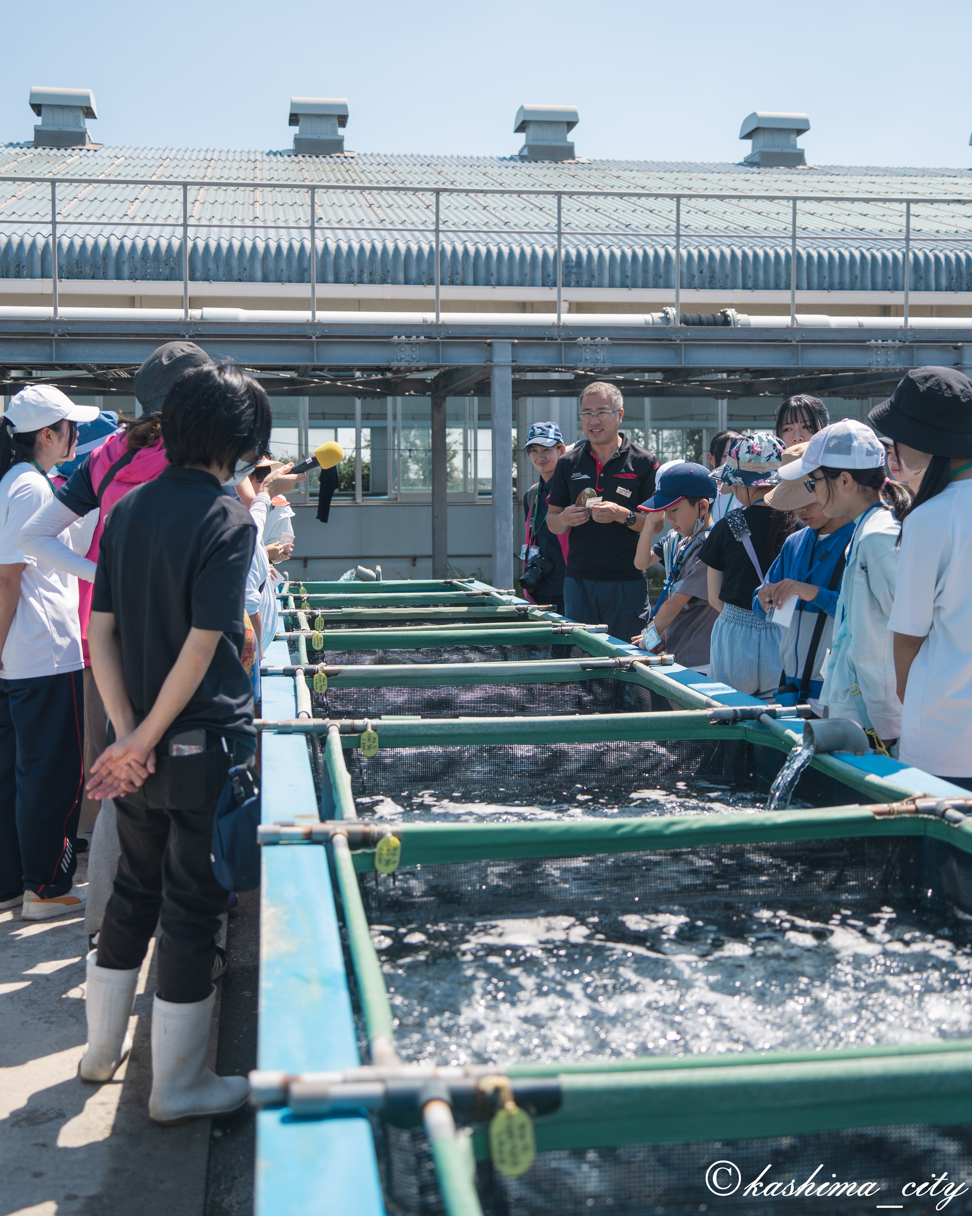 アワビの養殖を見学する子どもたち
