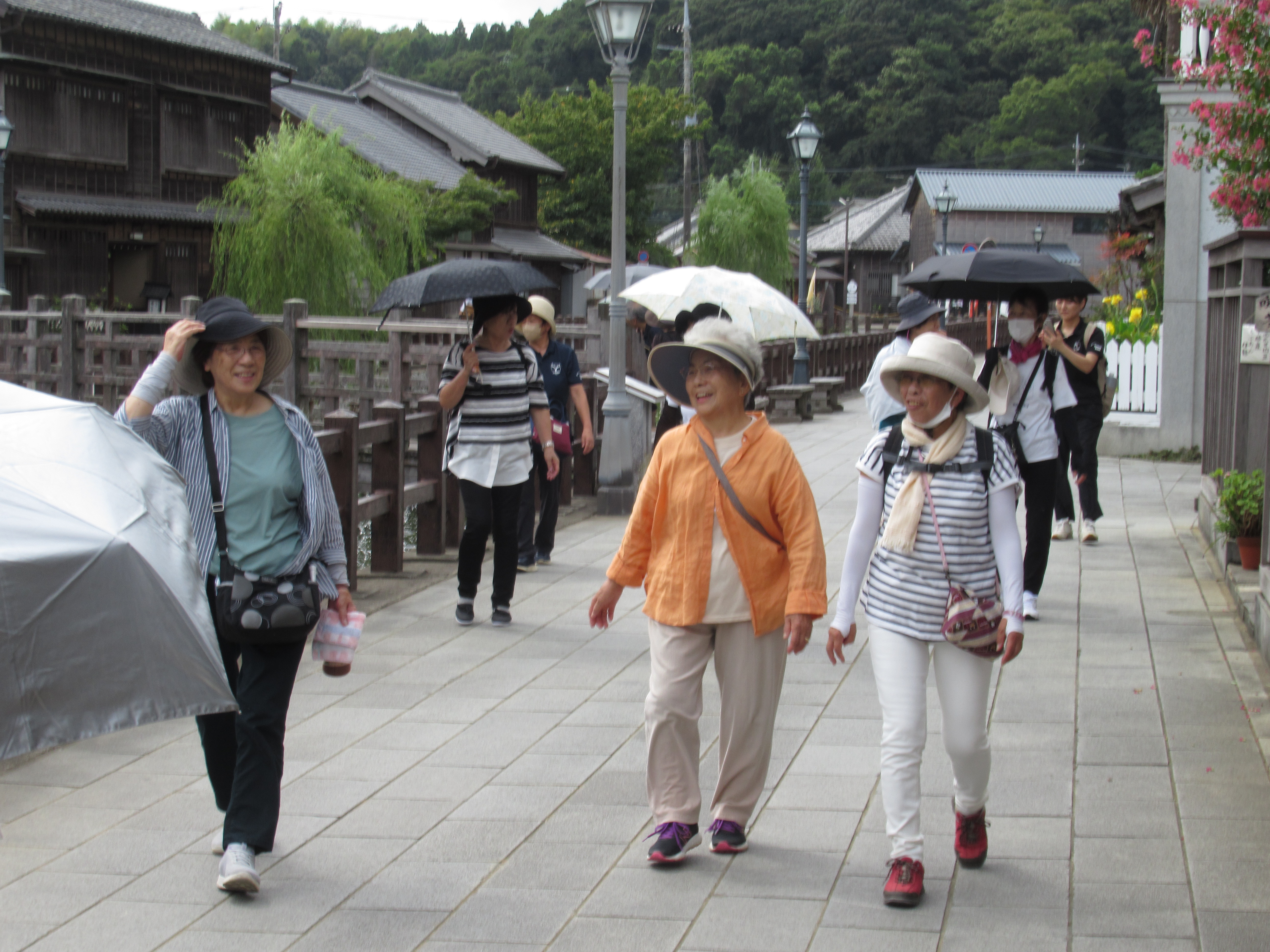 ウォーキングの様子