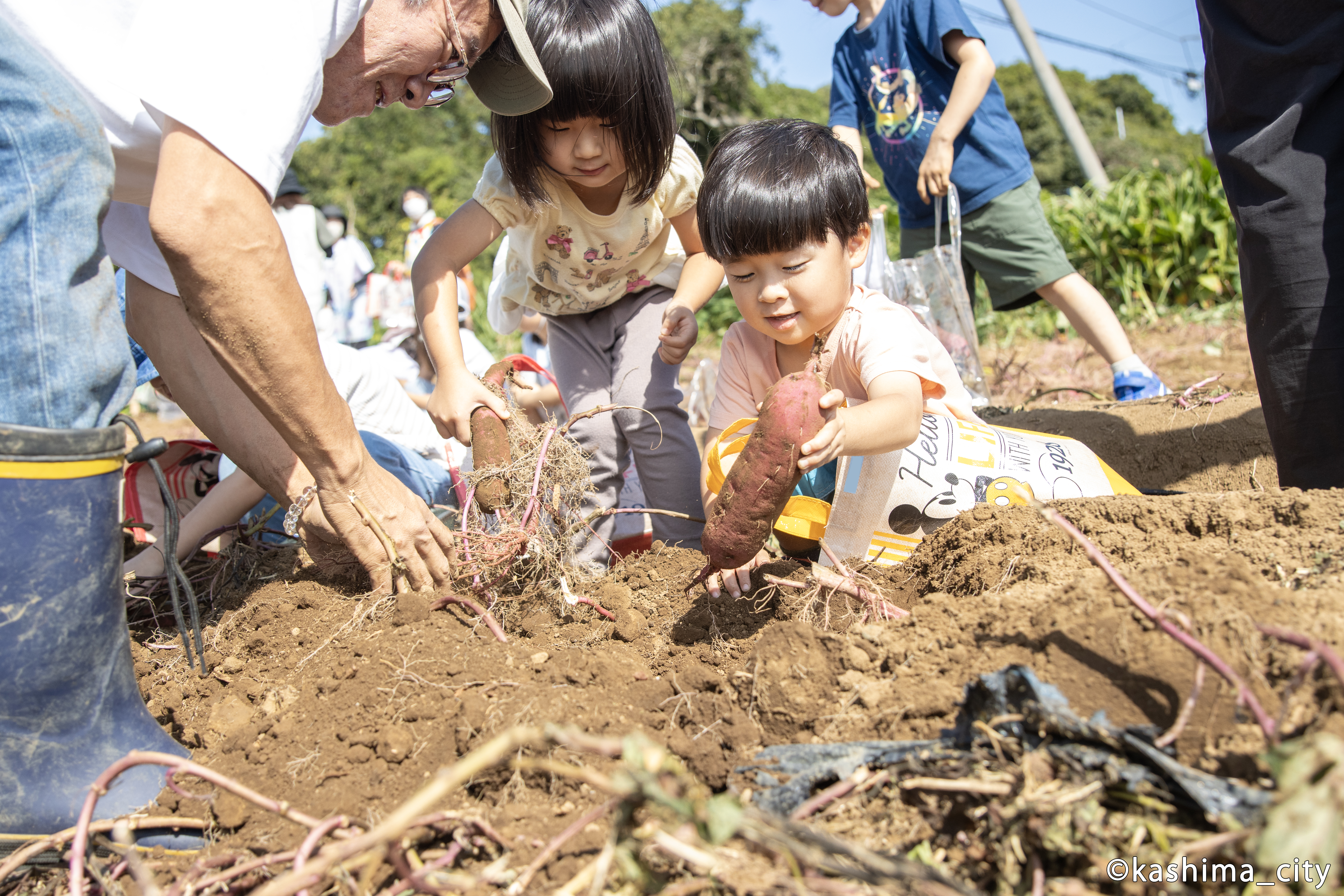 サツマイモを掘り出して笑顔の様子