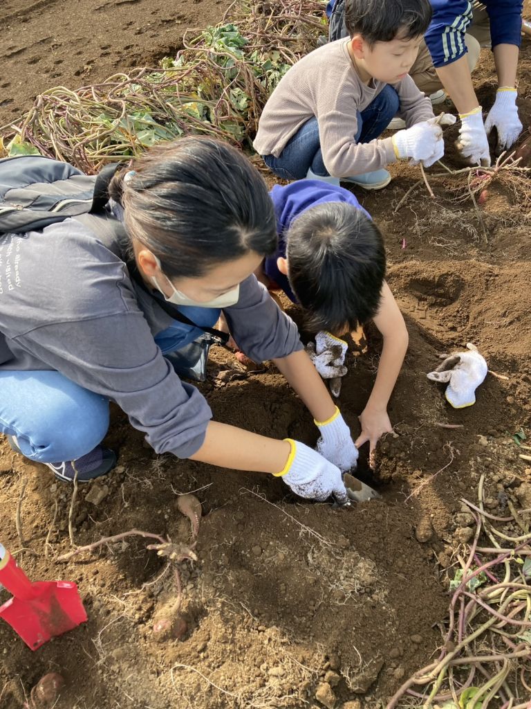 ハロウィンランタンづくり教室＆さつまいも掘り