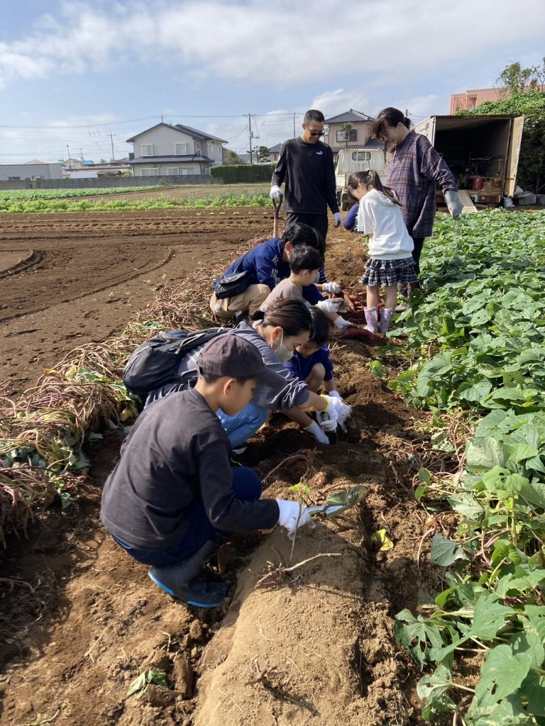 ハロウィンランタンづくり教室＆さつまいも掘り