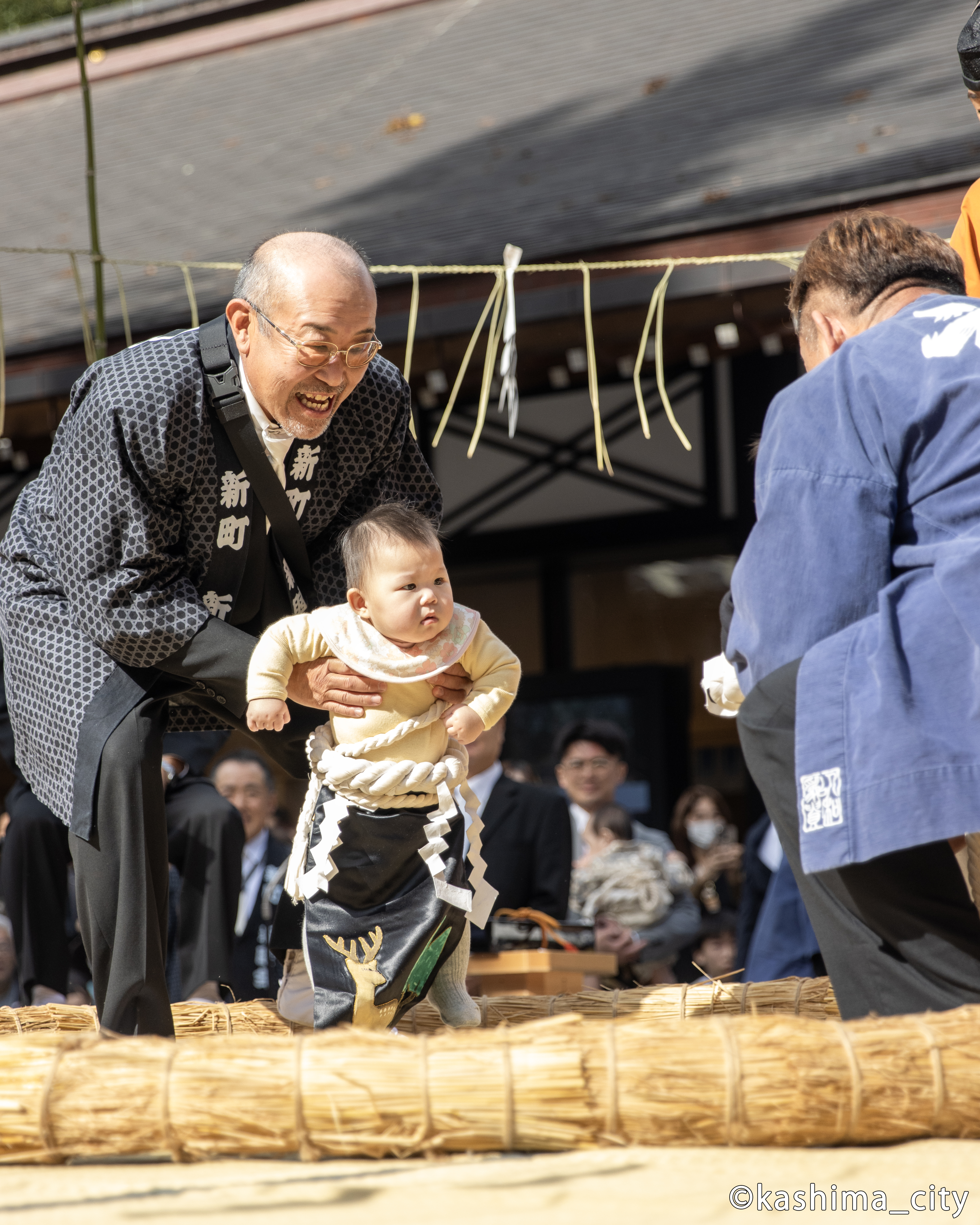 凛々しい表情の生後1年未満の豆力士