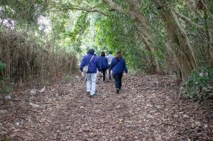 イノシシ親子に遭遇しそうな道を進んでいきます。