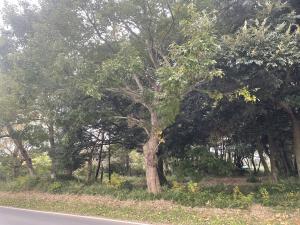 こんなところにも古墳がありました