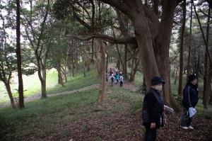 夫婦塚古墳の上へ