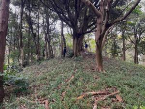 夫婦塚古墳の円墳部分