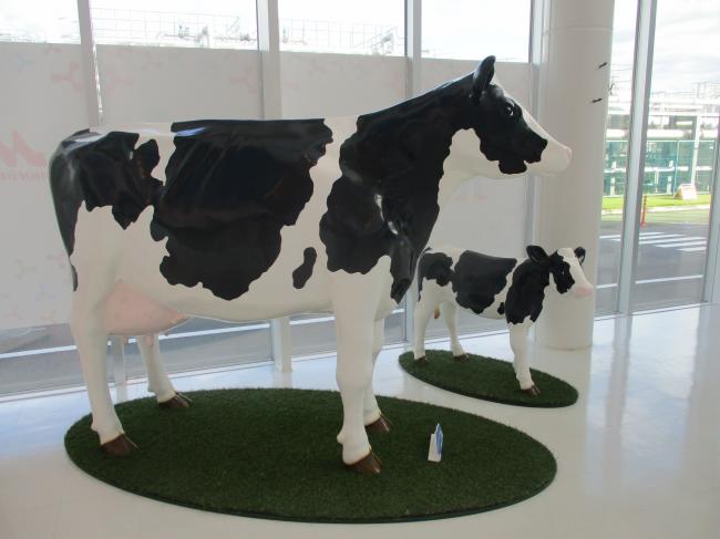 はまなすセミナー