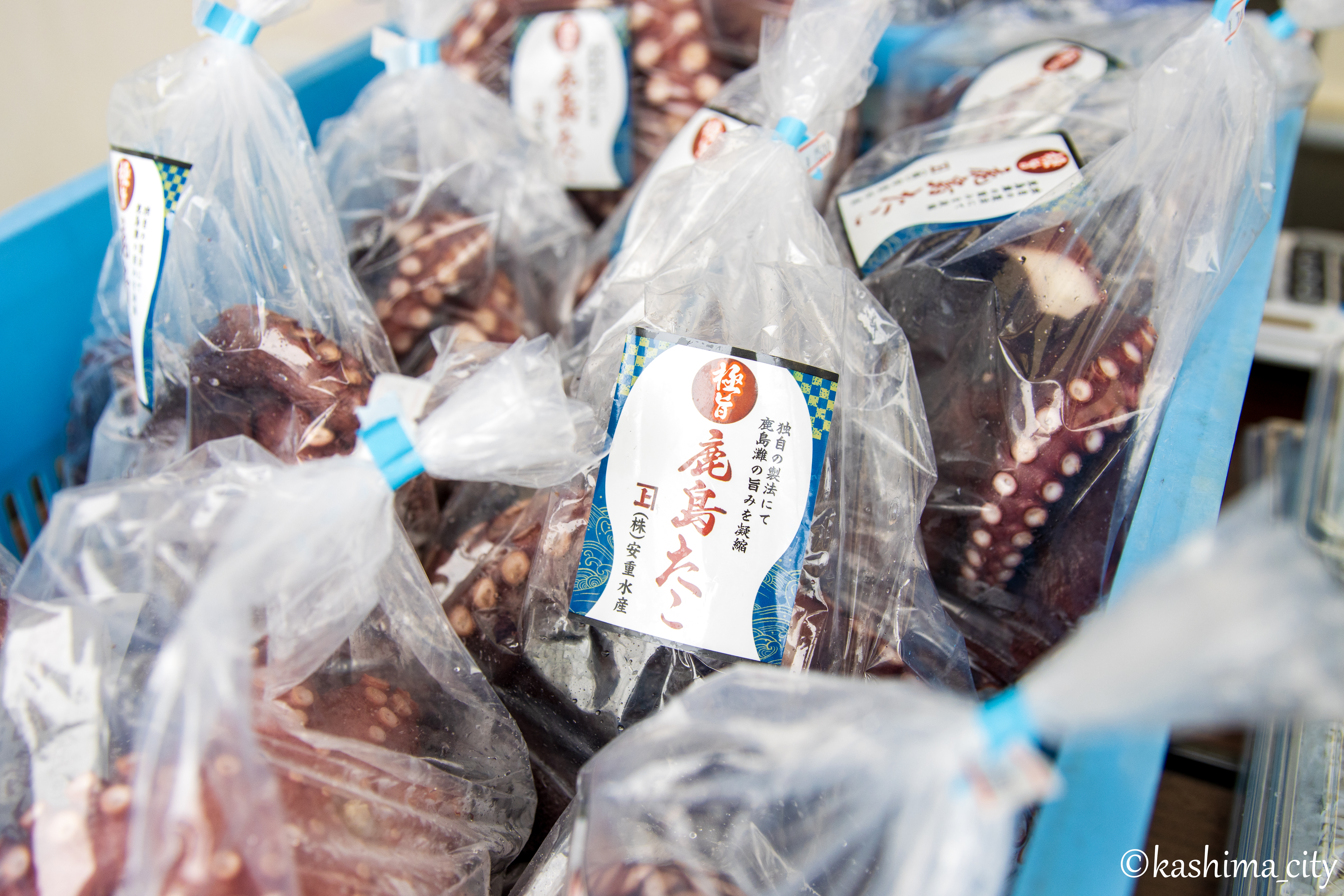 ビニール袋に入って販売される鹿島たこ