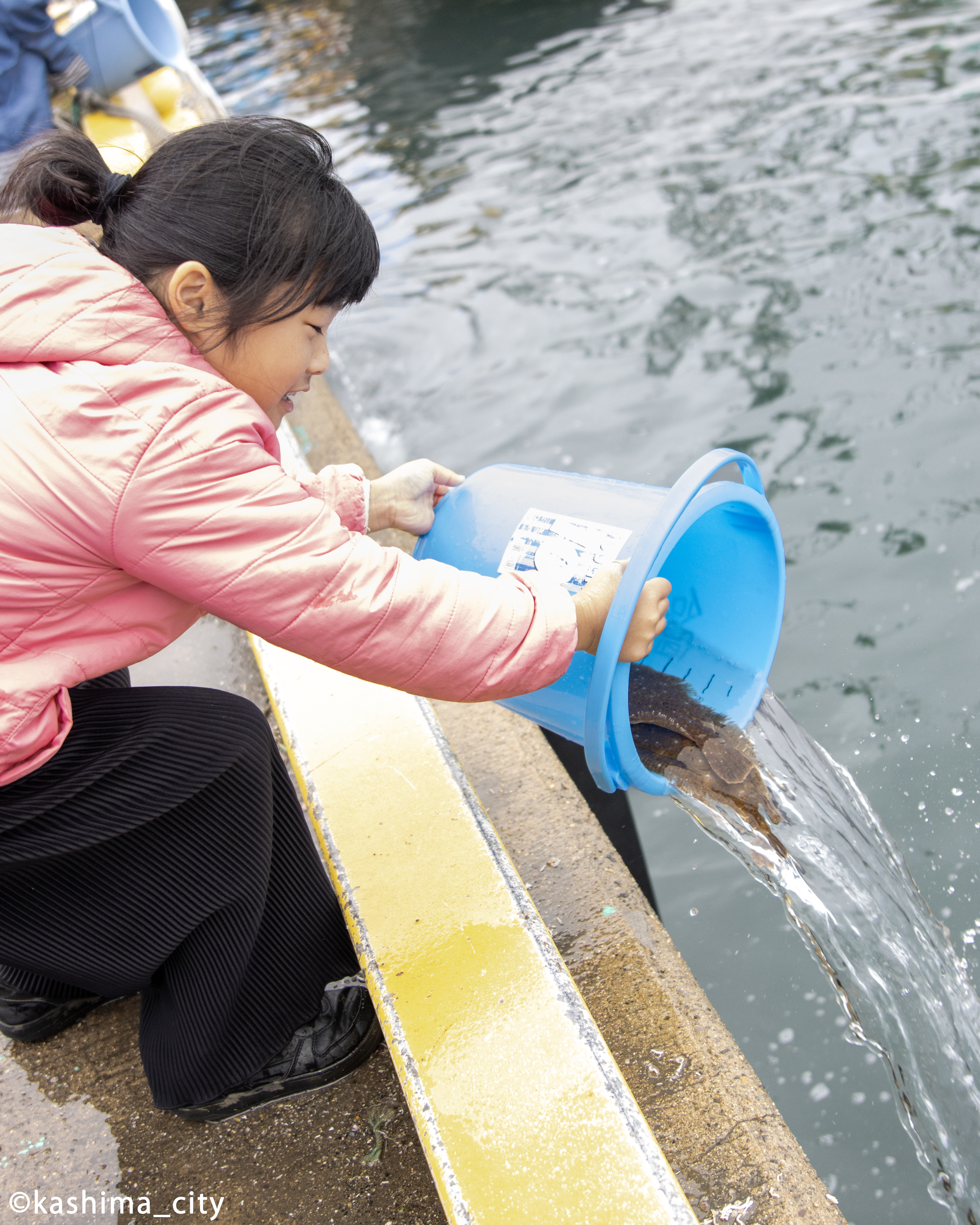 ヒラメの稚魚の放流