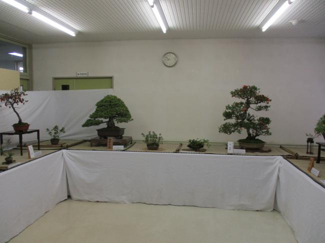 盆栽展の写真