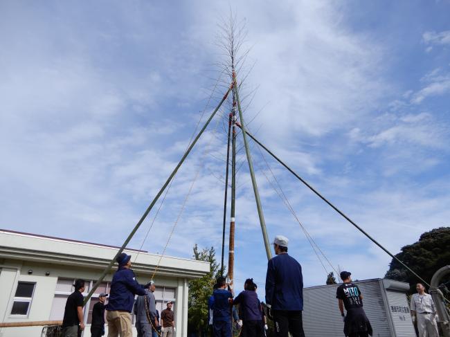 ミニ提灯まつりの竹の完成写真
