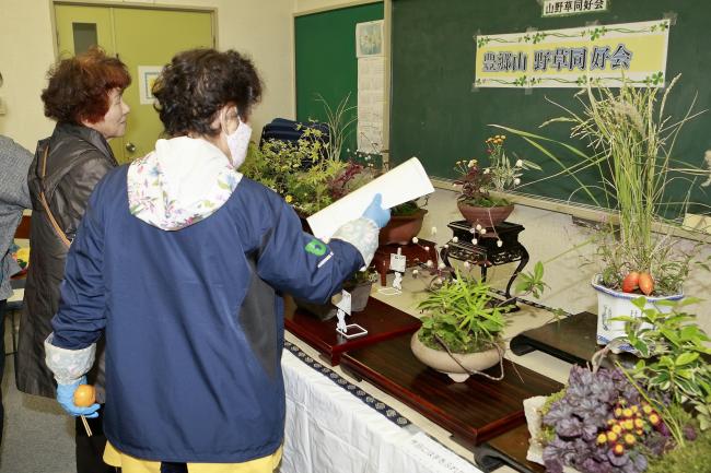 山野草を見ている写真