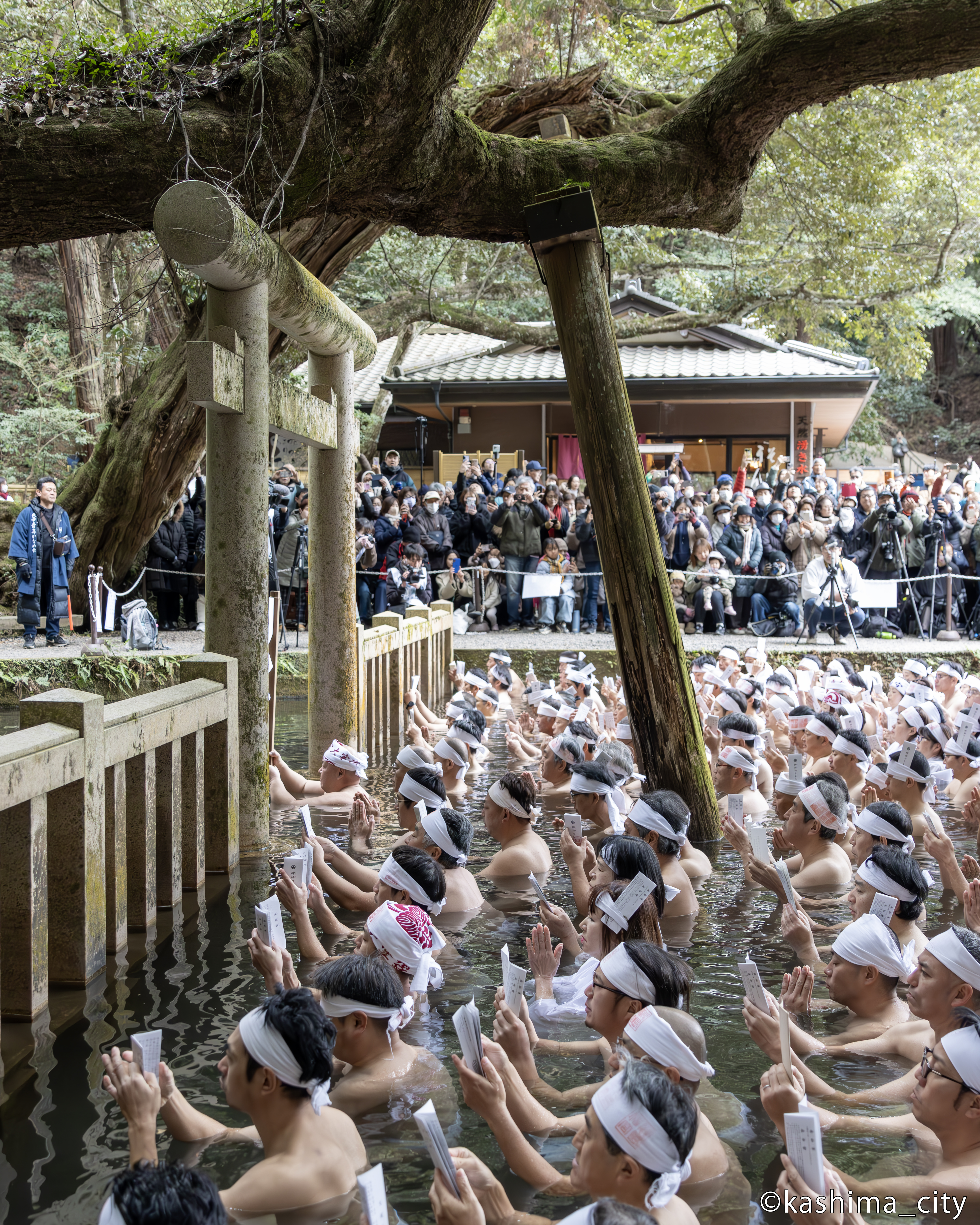 池の中の参加者たちと鳥居を一緒に写した様子
