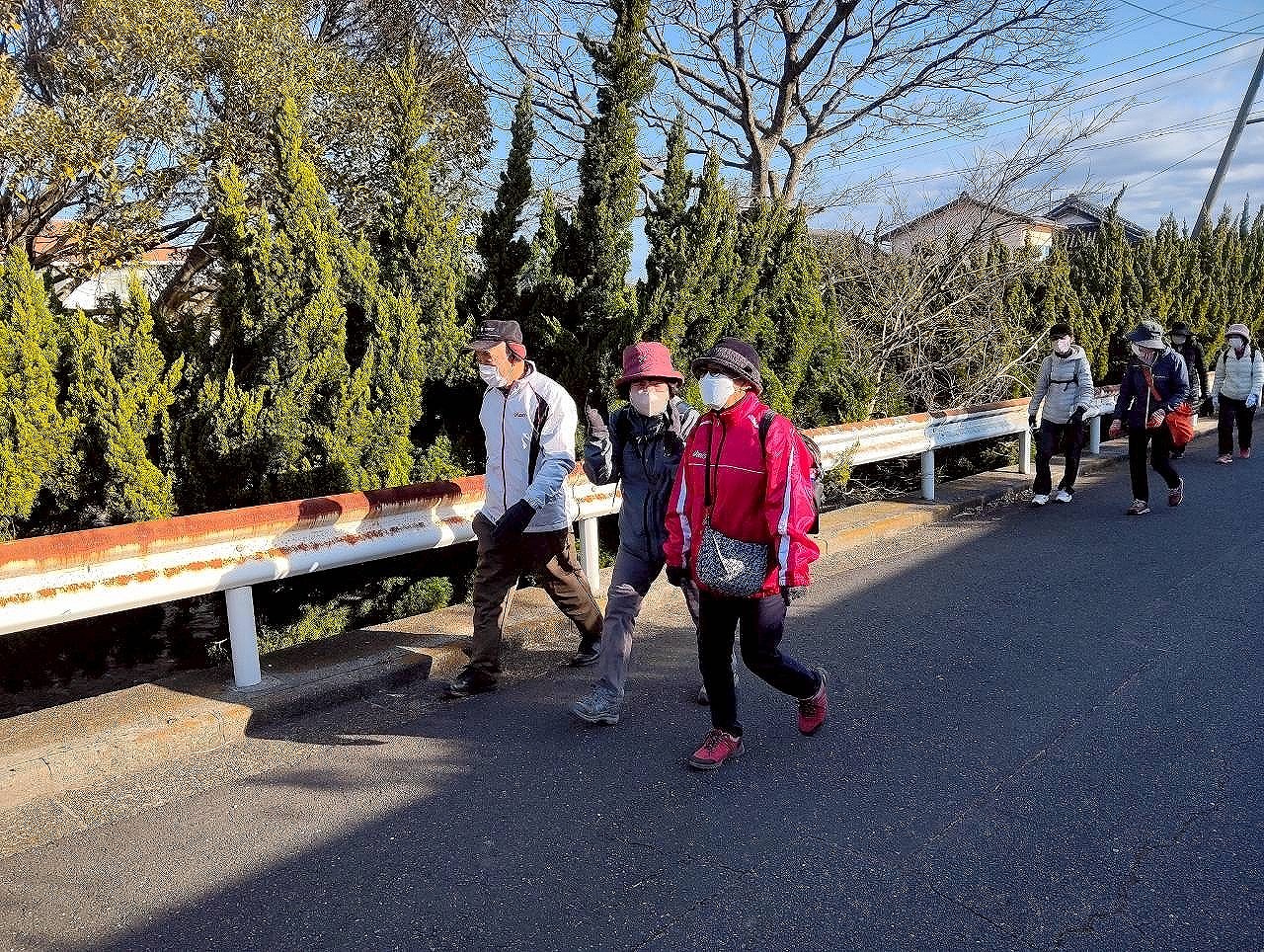 ウォーキングの様子