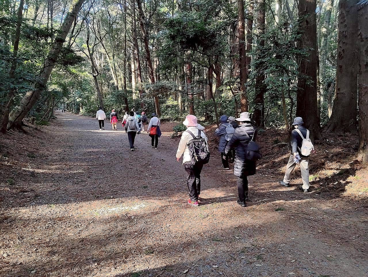 ウォーキングの様子