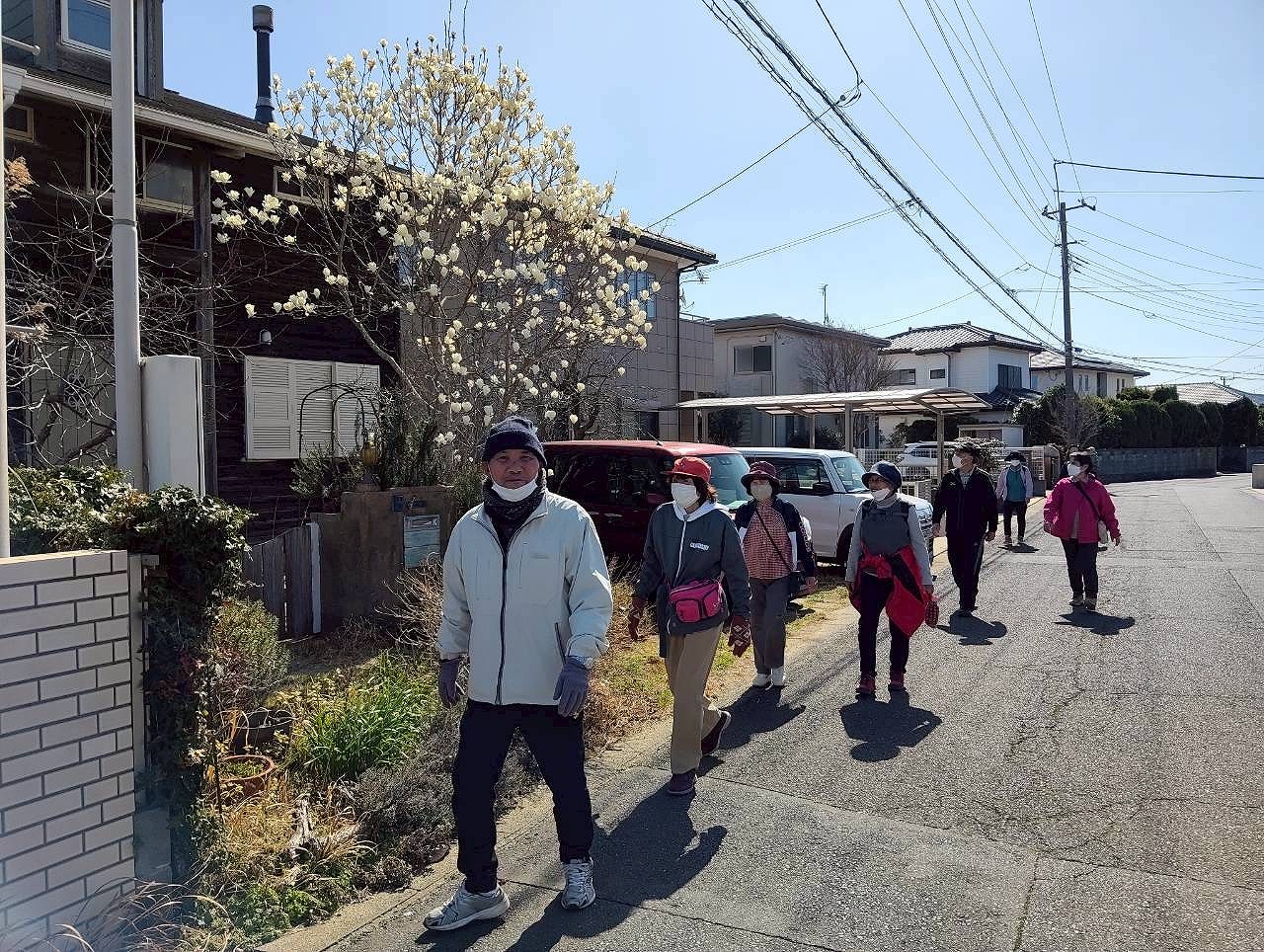 ウォーキングの様子