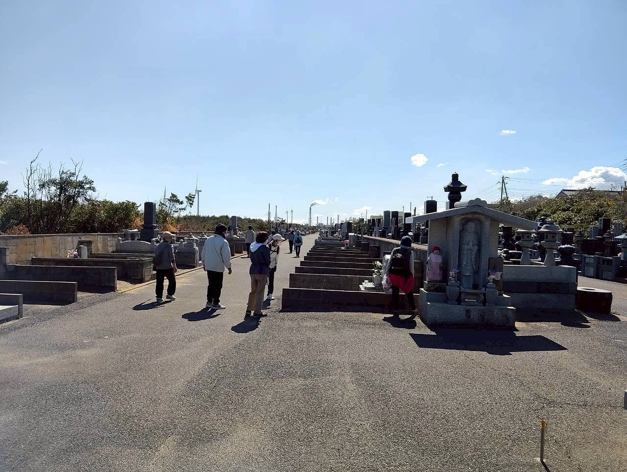 ウォーキングの様子