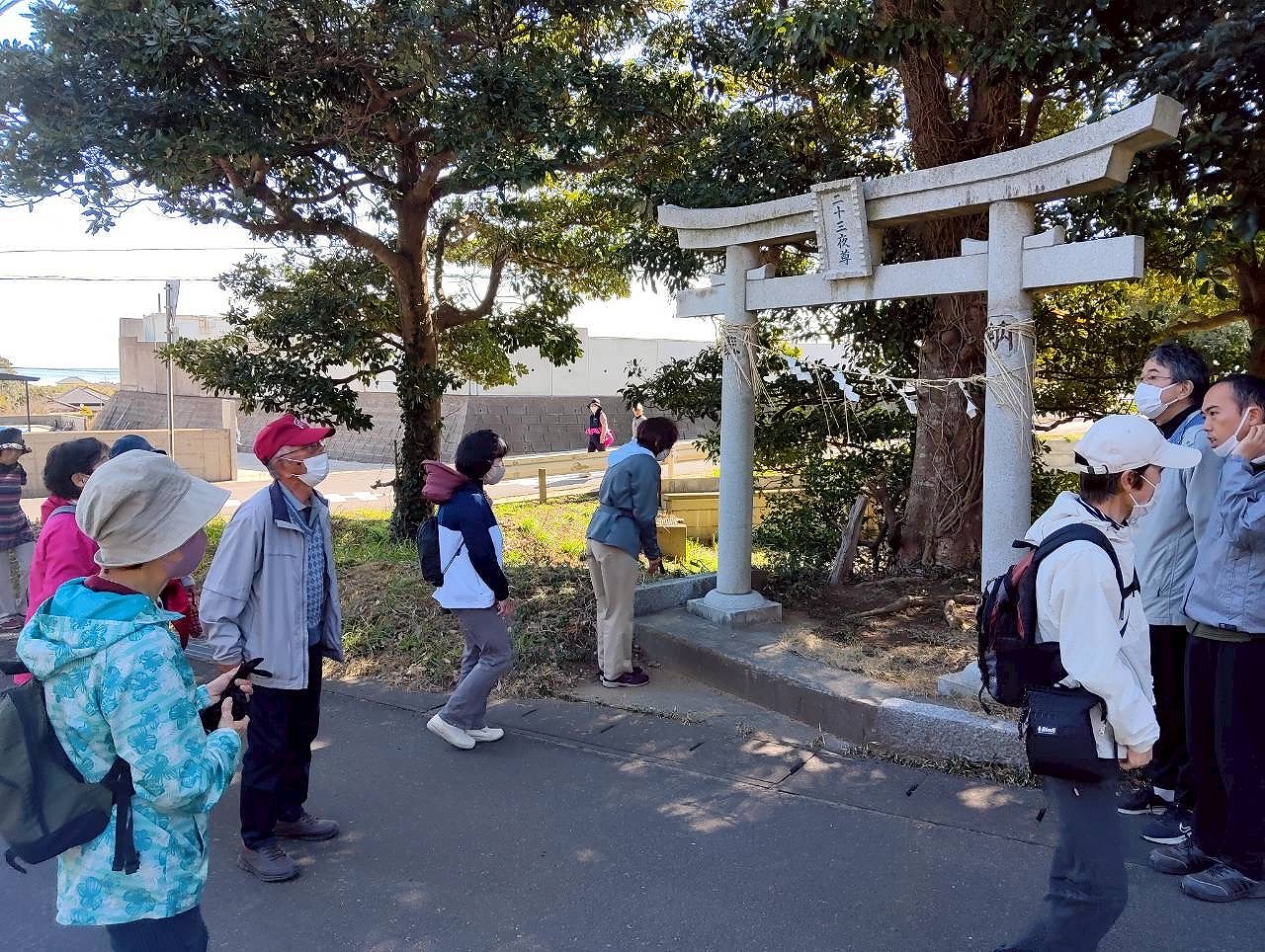 ウォーキングの様子