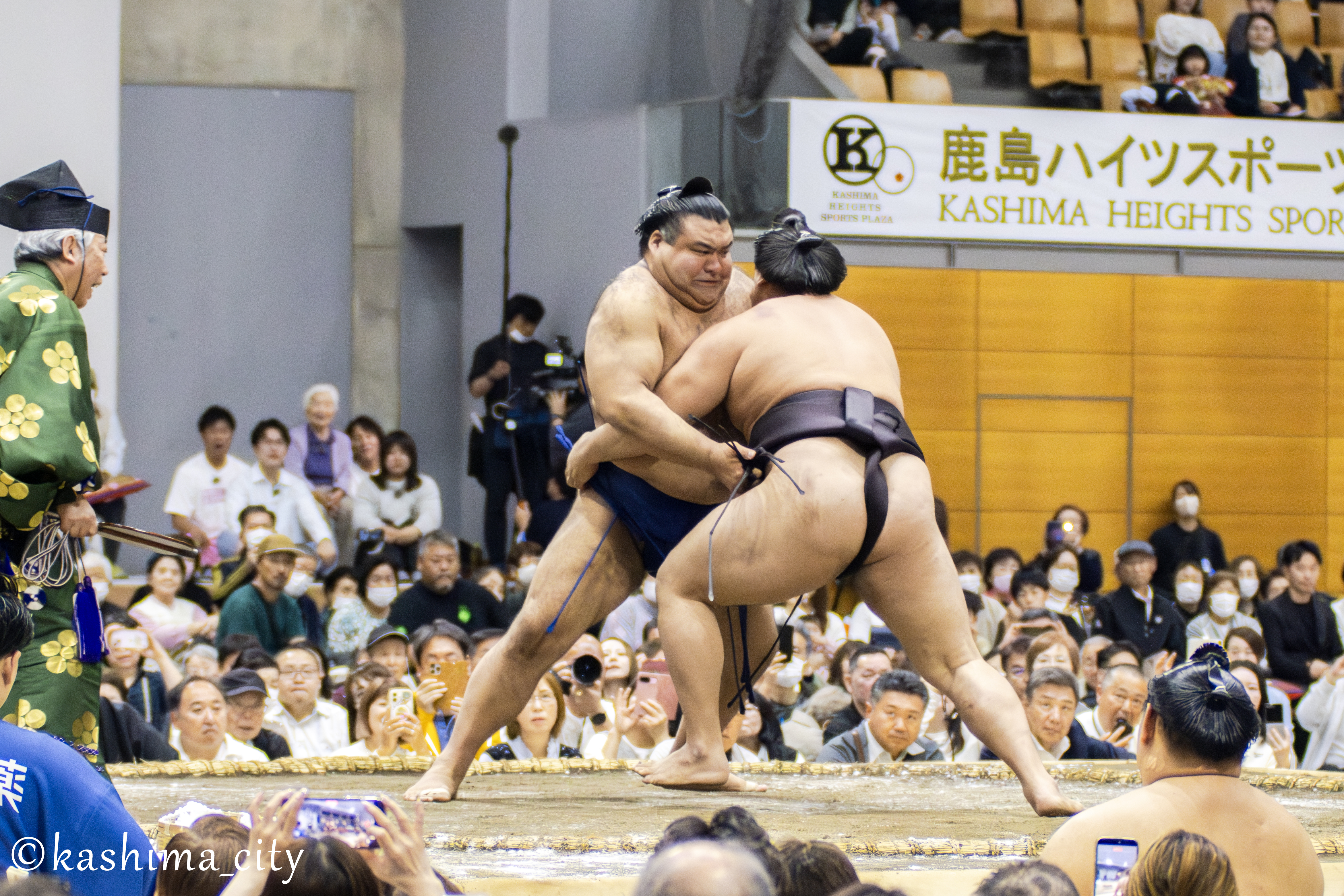高安関　幕内取組