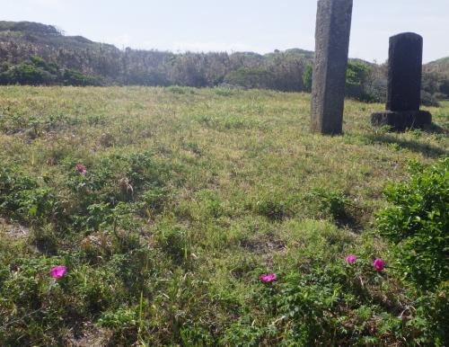 ハマナスと石碑　令和8年4月20日