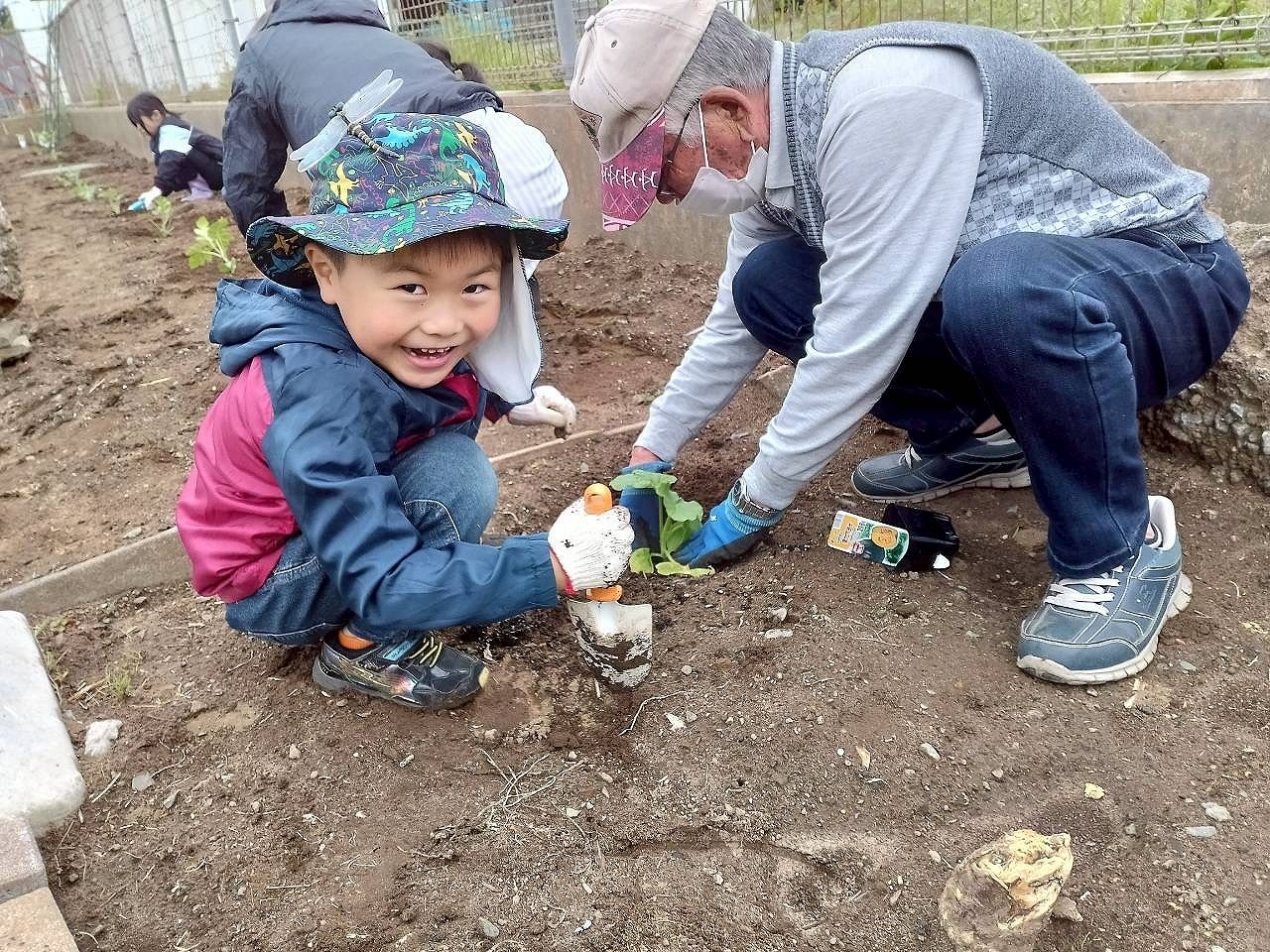 野菜苗植えの様子