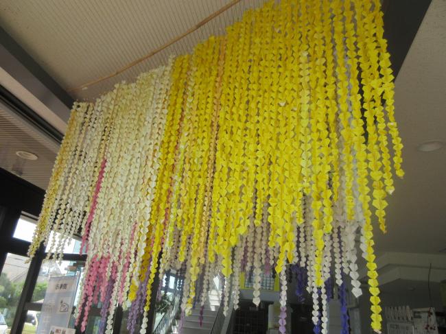 藤の花