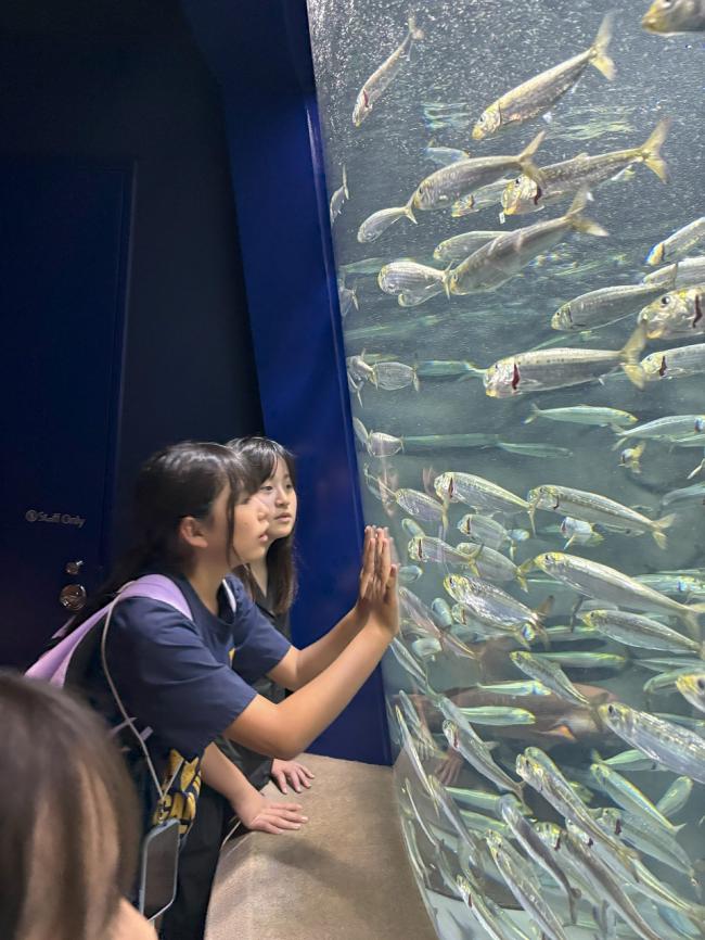 夏休み移動学習