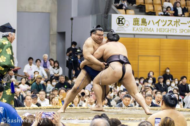 高安関　幕内取組